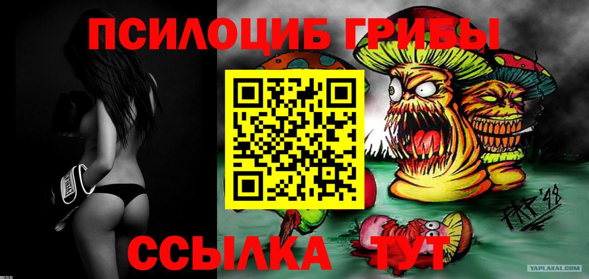 Галлюциногенные грибы Magic Shrooms  Псилоцибиновые грибы GOLDEN TEACHER  Вход с VPN  Хасавюрт 